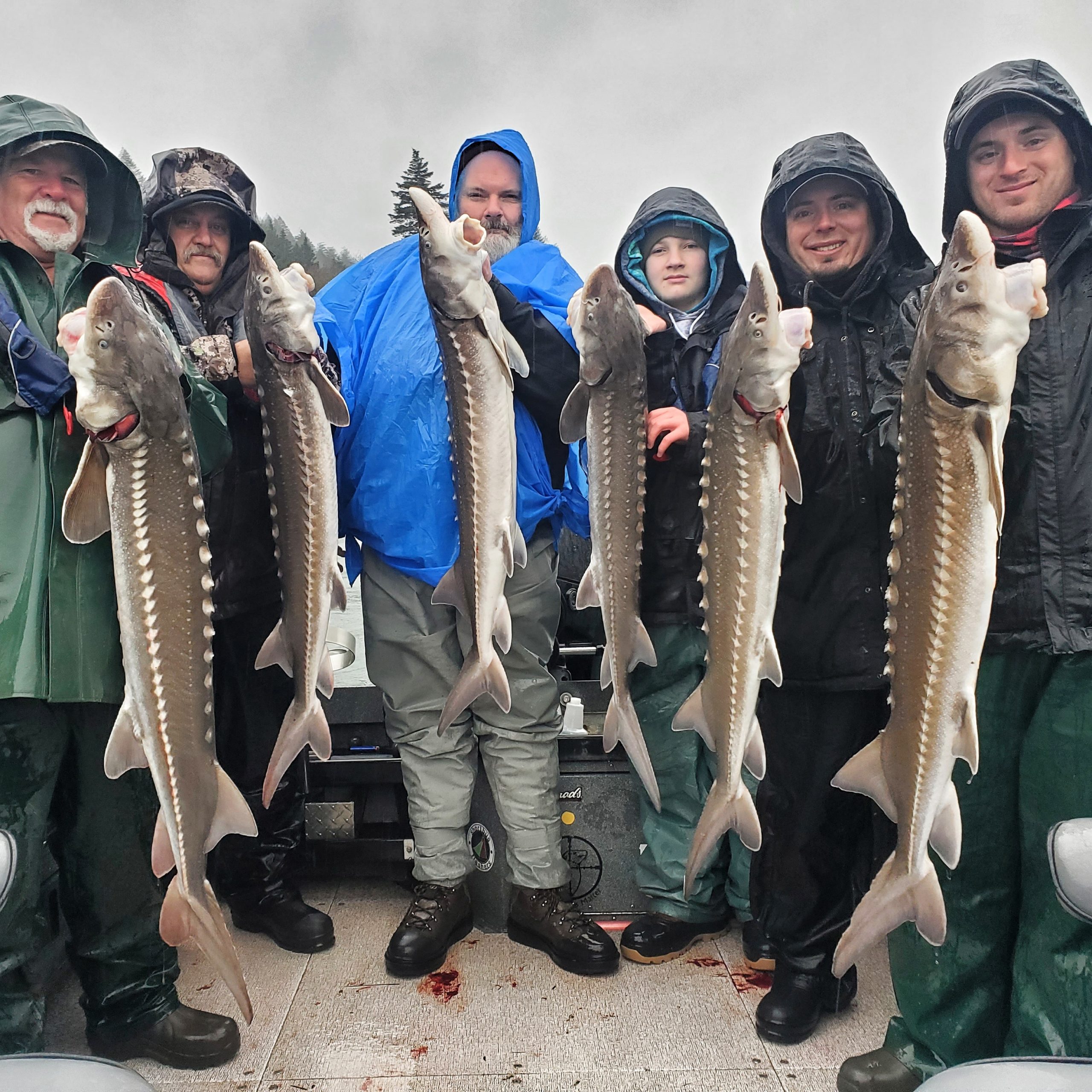 Gone Catchin - Cameron Black Sturgeon Fishing Guide 48